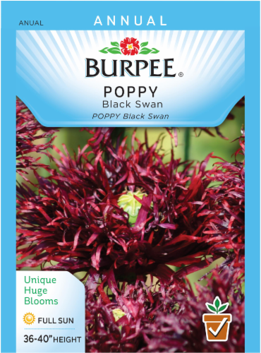 Burpee Black Swan Poppy Seeds Perspective: front