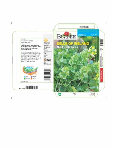Burpee® Bells of Ireland Seeds Perspective: front