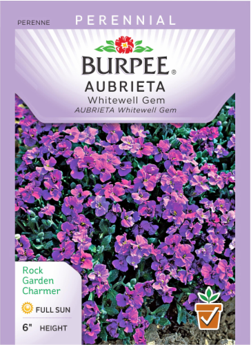 Burpee Whitewell Gem Aubrieta Seeds Perspective: front