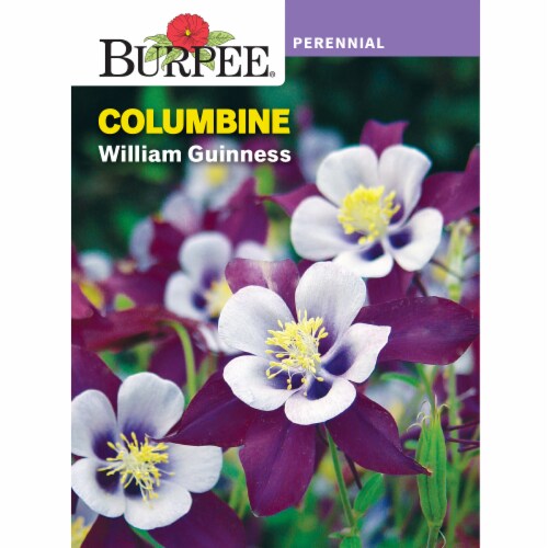 Burpee Columbine William Guinness Seeds Perspective: front