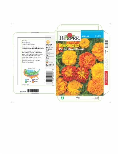 Burpee® Marigold Petite Mix Perspective: front