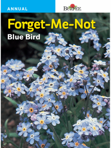 Burpee® Forget-Me-Not Blue Bird Seeds Perspective: front