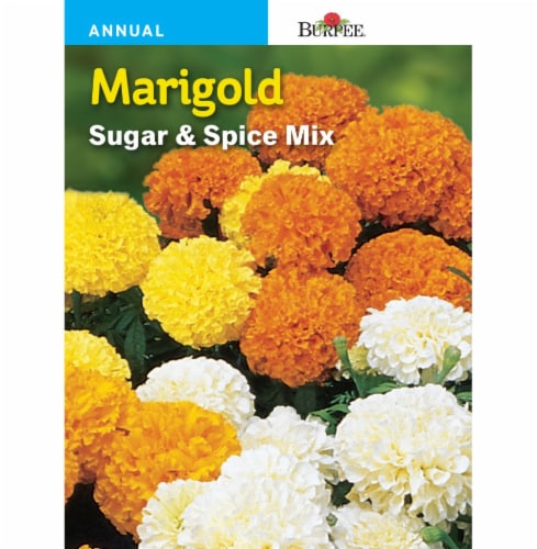 Burpee Sugar and Spice Mix Marigold Seeds Perspective: front