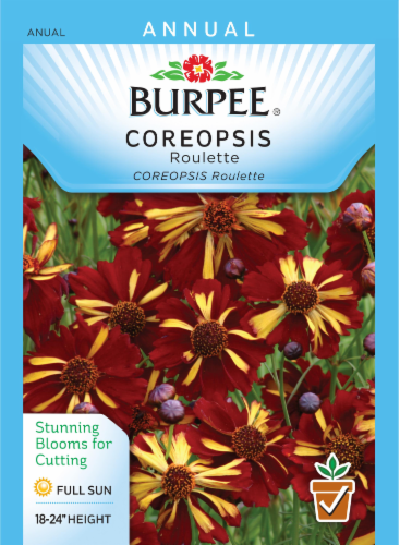Burpee Roulette Coreopsis Seeds Perspective: front