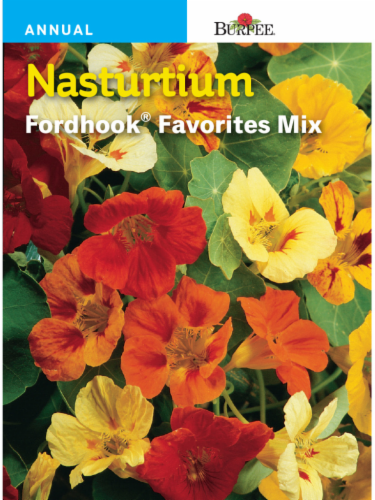 Burpee® Annual Nasturtium Fordhook® Favorites Mix Perspective: front
