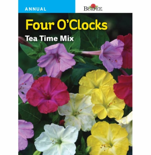 Burpee Tea Time Mix Four O'Clocks Seeds Perspective: front