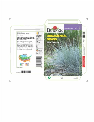 Burpee® Blue Fescue Ornamental Grass Seeds Perspective: front