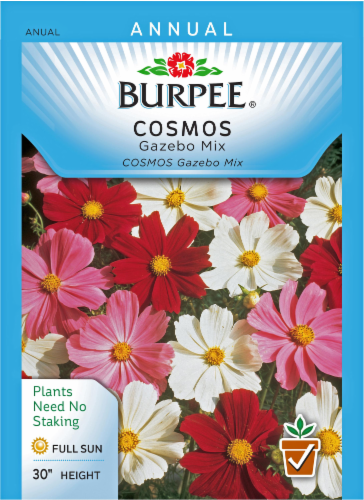 Burpee® Gazebo Mix Cosmos Seeds Perspective: front