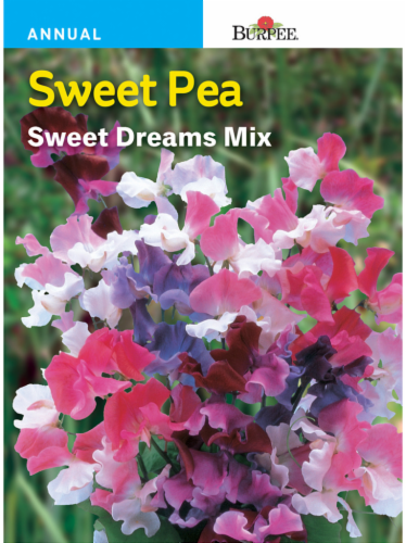 Burpee Sweet Pea Sweet Dreams Seed Mix Perspective: front