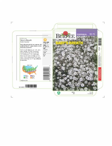 Burpee Early Snowball Baby's Breath Seeds, 1 Count - Fry's Food Stores