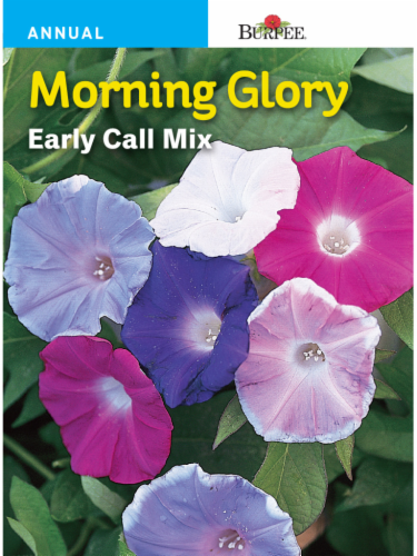 Burpee Morning Glory Early Call Mix Seeds Perspective: front