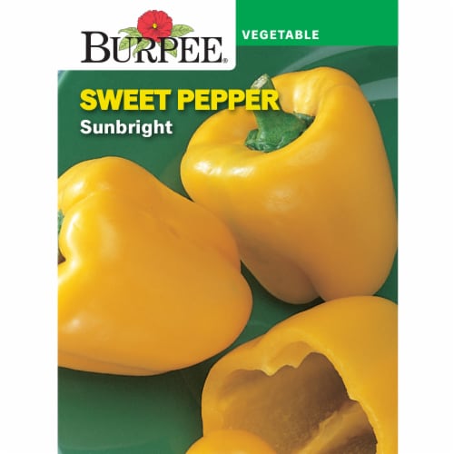 Burpee® Sunbright Sweet Pepper Seeds Perspective: front