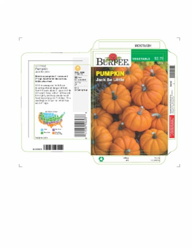 Burpee® Jack Be Little Pumpkin Seeds Perspective: front