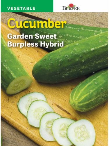 Burpee Garden Sweet Burpless Hybrid Cucumber Seeds - Green Perspective: front