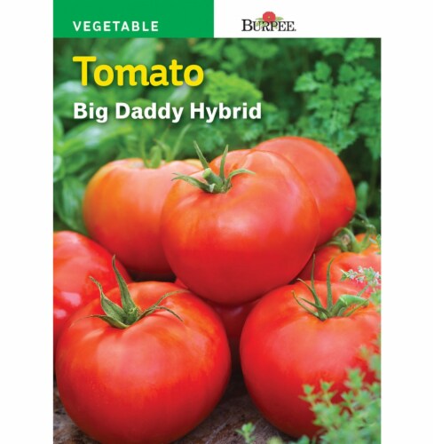 Burpee® Big Daddy Hybrid Tomato Seeds Perspective: front