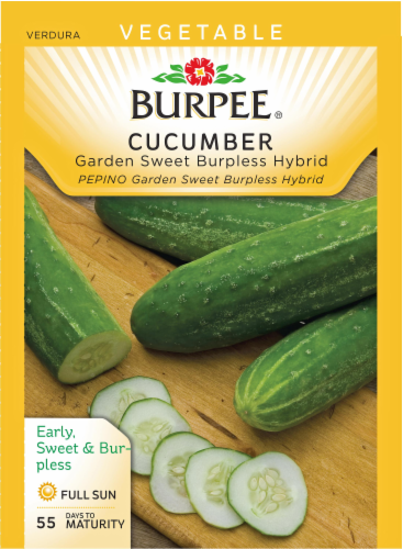Burpee Garden Sweet Burpless Cucumber Seeds Perspective: front