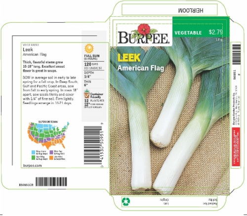 Burpee® Leek American Flag Seeds Perspective: front