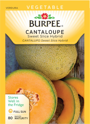Burpee Sweet Slice Hybrid Cantaloupe Perspective: front