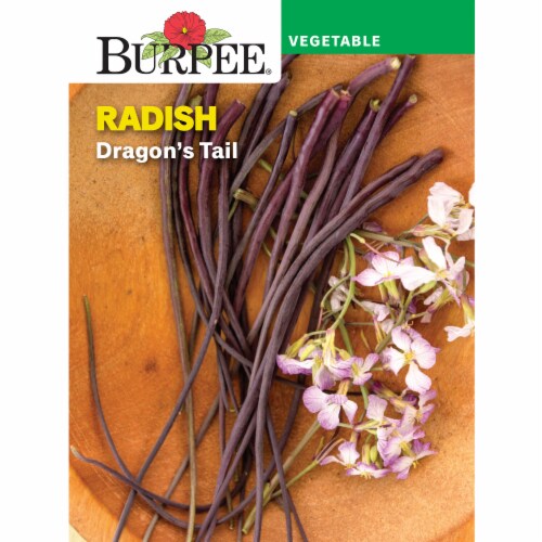 Burpee Dragon's Tail Radish Perspective: front