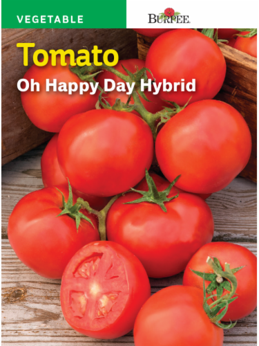 Burpee Oh Happy Day Hybrid Tomato Seeds - Red Perspective: front