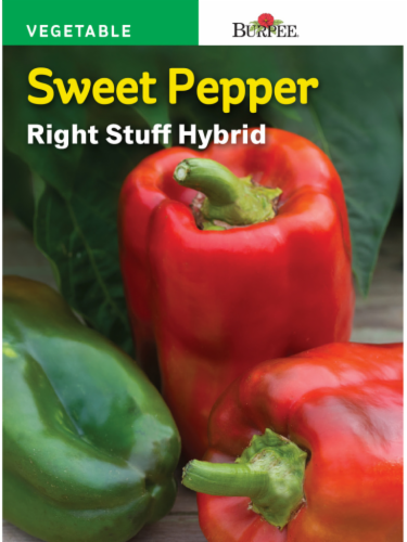 Burpee Right Stuff Hybrid Sweet Pepper Seeds - Multi-Color Perspective: front