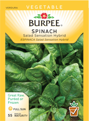 Burpee Salad Sensation Hybrid Spinach Seeds Perspective: front
