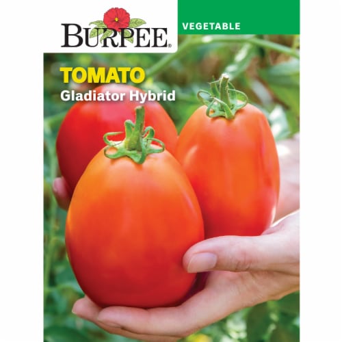 Burpee® Tomato Gladiator Hybrid Seed Packet Perspective: front