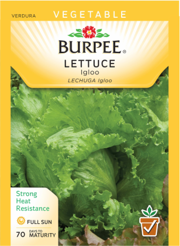 Burpee® Igloo Lettuce Seeds Perspective: front