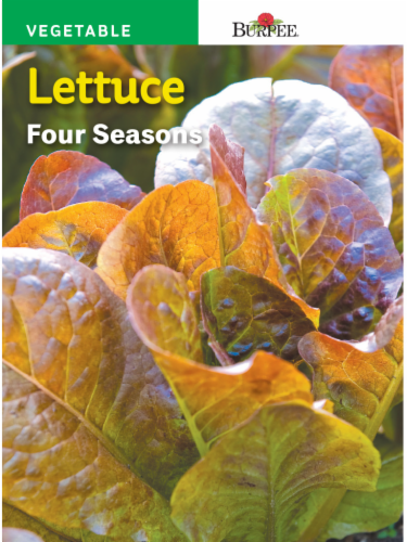 Burpee Lettuce Four Seasons Seeds - Multi-Color Perspective: front
