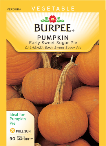 Burpee Early Sweet Sugar Pie Pumpkin Seeds, 1 Count - Fred Meyer