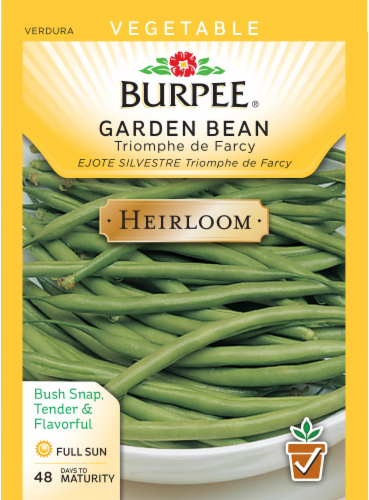 Burpee Triomphe de Farcy Heirloom Bush Bean Seeds Perspective: front