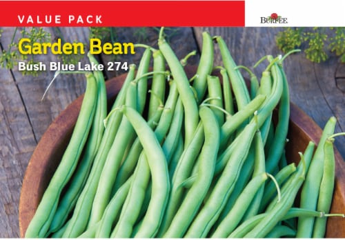 Burpee Garden Bean Bush Blue Lake 274 Value Pack Seeds - Green Perspective: front