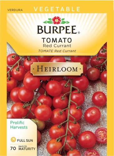 Burpee® Red Currant Tomato Seeds Perspective: front