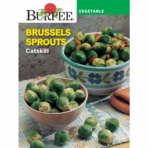 Burpee® Catskill Brussels Sprouts Perspective: front