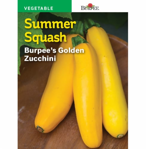 Burpee® Golden Zucchini Summer Squash Seeds Perspective: front