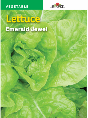 Burpee Emerald Jewel Lettuce Seeds Perspective: front