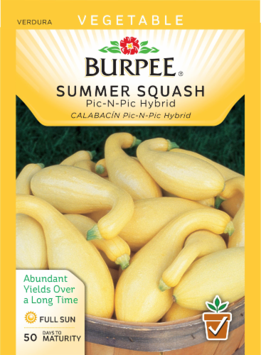 Burpee® Pic-n-Pic Hybrid Summer Squash Seeds Perspective: front