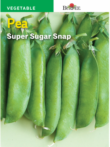 Burpee Sugar Snap Pea Seeds Perspective: front