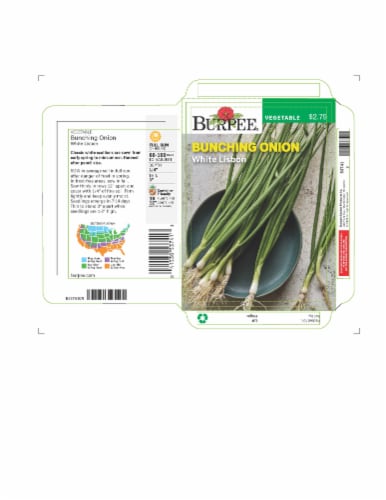 Burpee® Bunching Onion White Lisbon Seeds Perspective: front