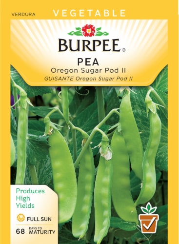 Burpee Oregon Sugar Pod II Pea Seeds Perspective: front