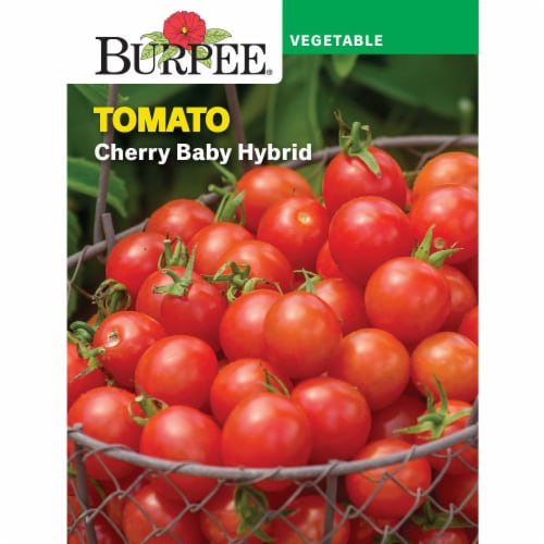 Burpee® Cherry Baby Hybrid Tomato Seeds Perspective: front