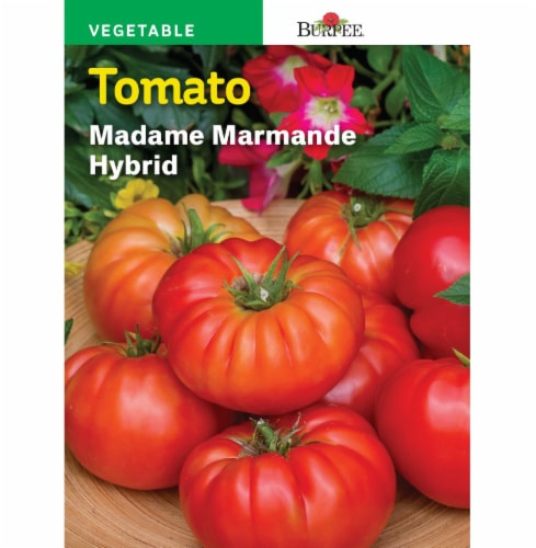 Burpee Madame Marmande Hybrid Tomato Seeds Perspective: front