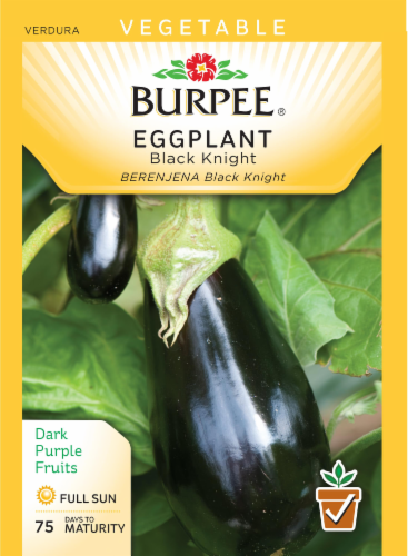 Burpee Black Knight Eggplant Seeds Perspective: front