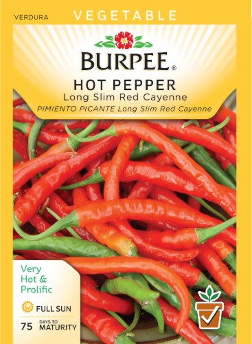 Burpee Long Slim Red Cayenne Hot Pepper Seeds Perspective: front