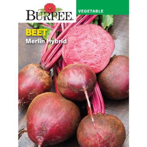 Burpee Beet Merlin Hybrid Seeds Perspective: front