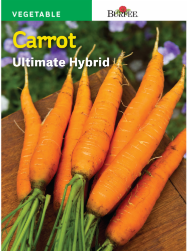 Burpee Ultimate Hybrid Carrot Seeds - Orange Perspective: front