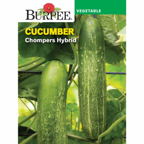 Burpee® Cucumber Chompers Hybrid Seed Packet Perspective: front