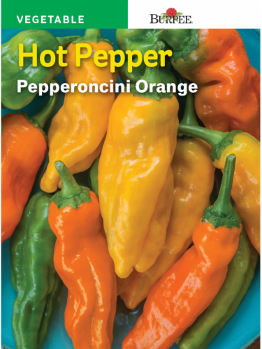 Burpee Pepperoncini Orange Hot Pepper Seeds - Orange Perspective: front