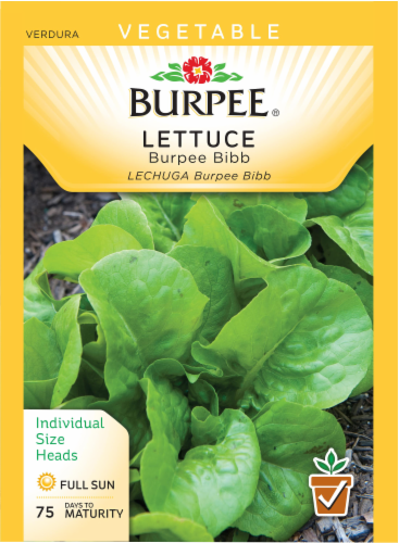 Burpee Bibb Lettuce Seeds - Green Perspective: front