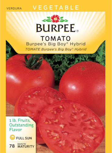 Burpee® Sandwich Slicer Hybrid Tomato Seeds, 1 ct - Mariano's